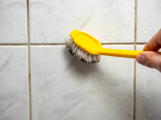 Best Black Mold Removal  in Union Point, GA