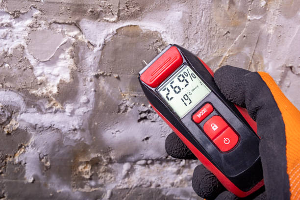 Union Point, GA Mold Removal Company